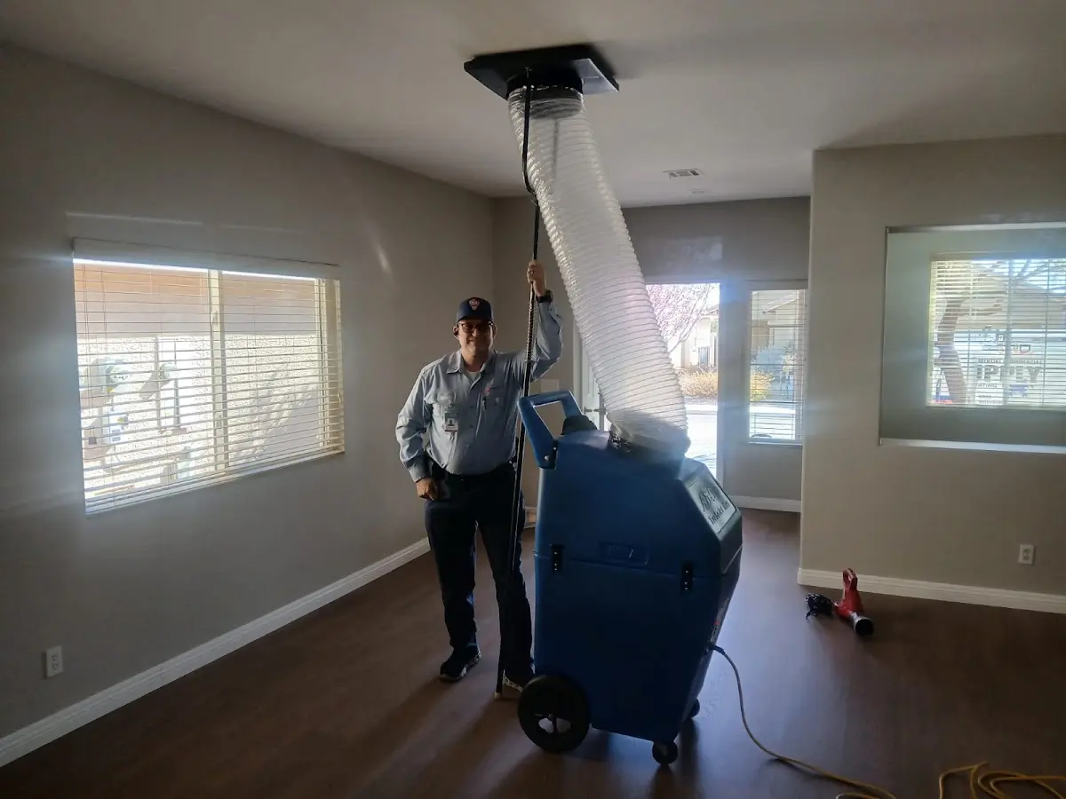 Professional Dryer Vent Cleaning work inside a Princeton home